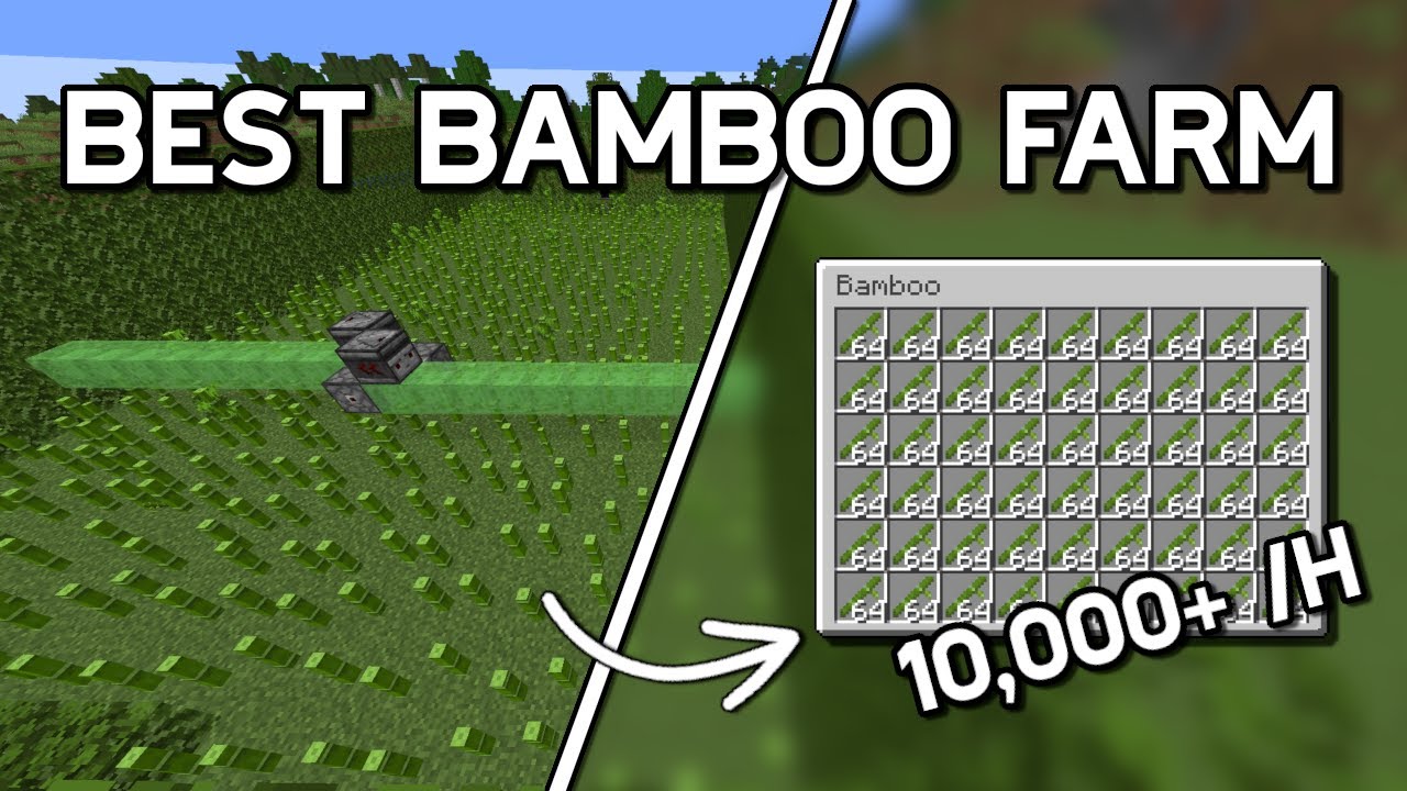 Best Bamboo Farm Minecraft 1.21.10 - 10,000 per Hour!