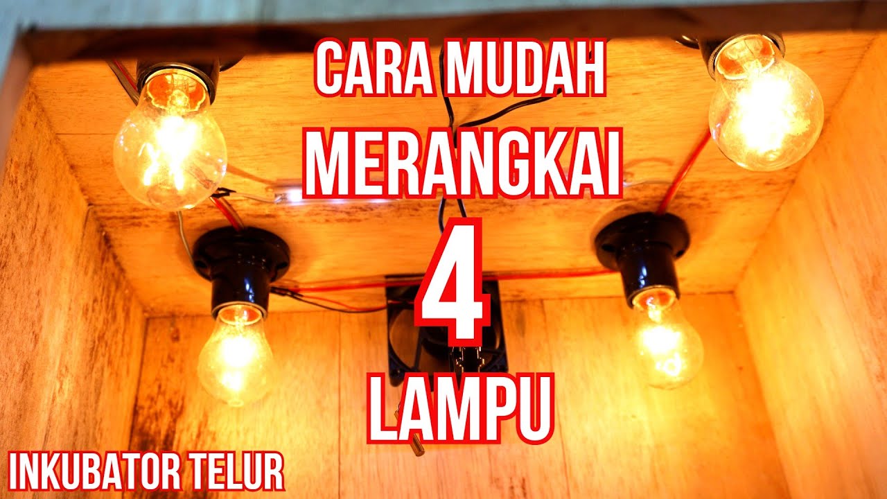Cara Mudah Merangkai 4 Lampu Paralel pada Mesin Penetas Telur
