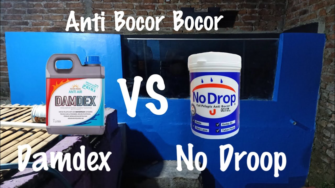 Cara Jitu Atasi Kolam Bocor Dengan Damdex VS NoDroop | MFBIRDFARM KLATEN