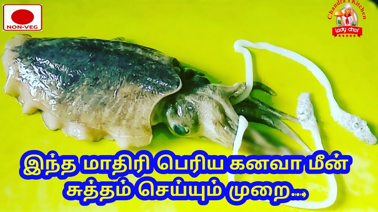 இந்த மாதிரி பெரிய கனவா மீன் சுத்தம் செய்யும் முறை | How to Clean kadamba fish | Squid Cleaning