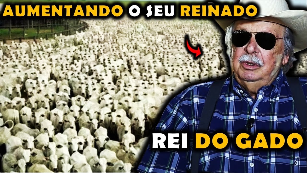REI DO GADO BRASILEIRO COMPRA MAIS FAZENDAS E FAZ A MAIOR COMPRA DA HISTÓRIA