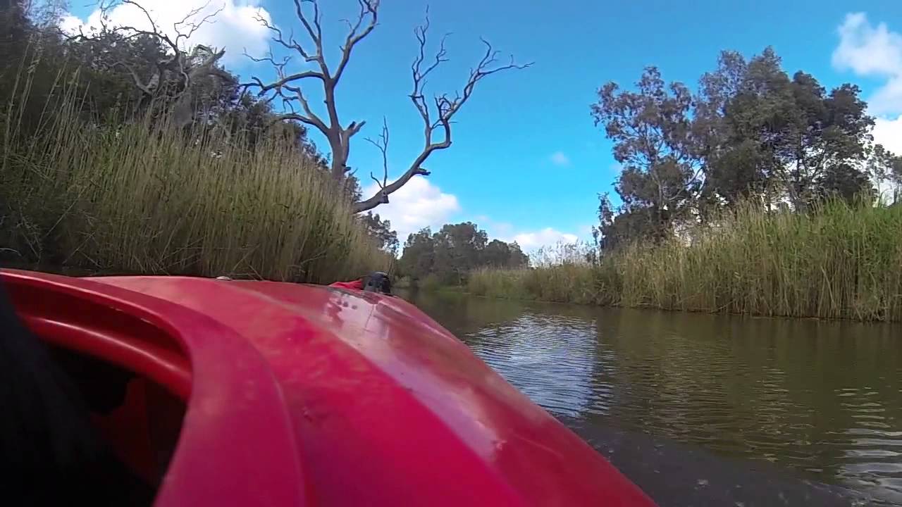 Kayaking the Barwon River in Geelong