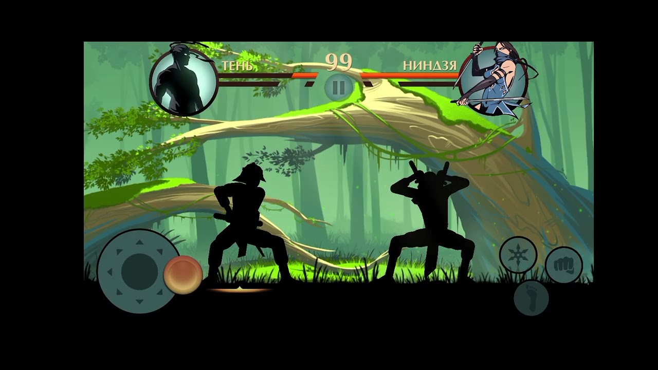  Shadow fight 2 