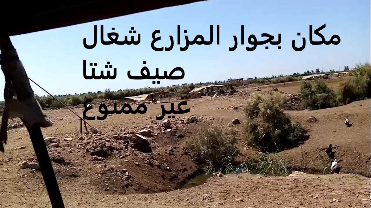 صيد سمك وصف مكان شغال صيف شتا مش هتلاحق