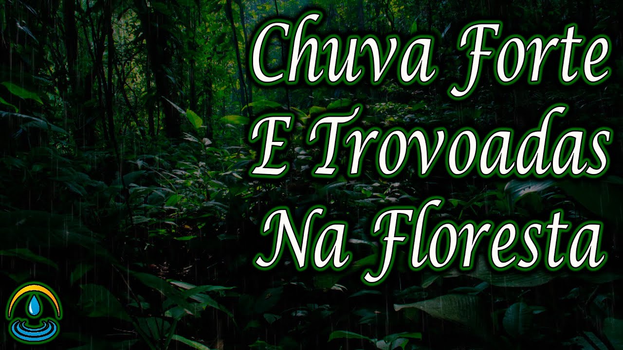 CHUVA NA FLORESTA⚡Barulho de CHUVA FORTE com TROV&Otilde;ES na FLORESTA para Dormir e Relaxar 💤