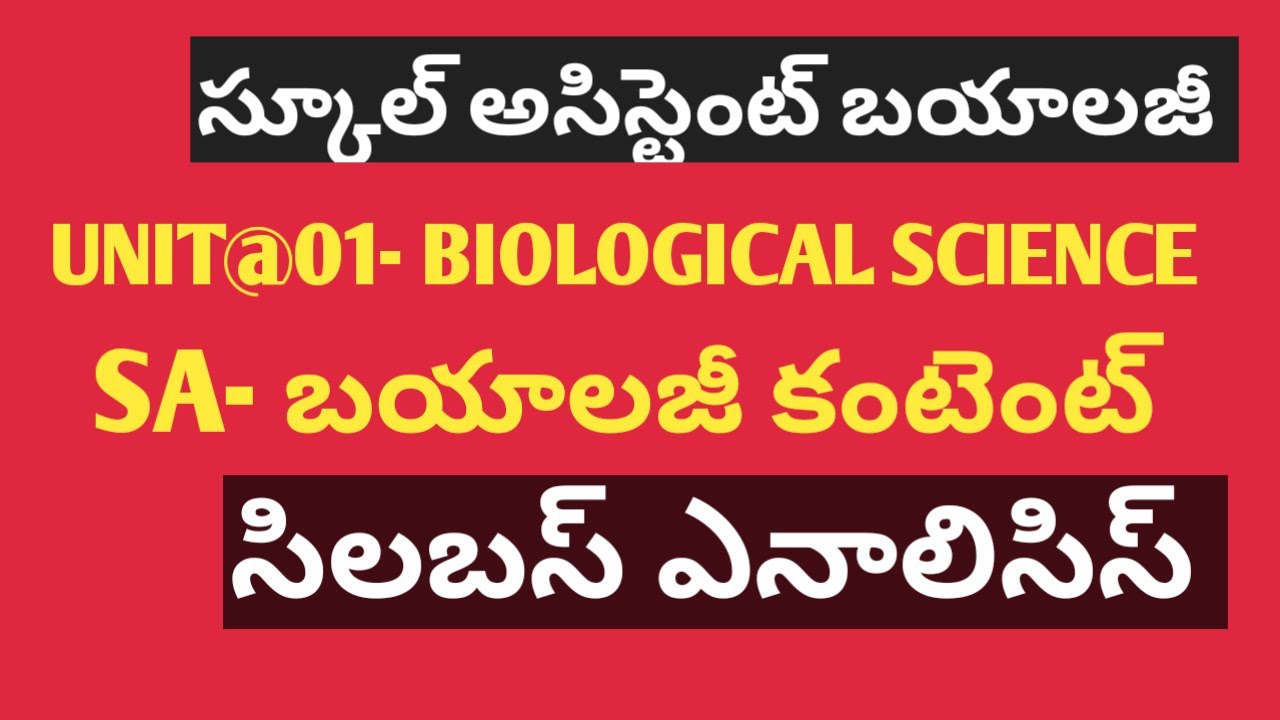 School Assistant  biology syllabus analysis