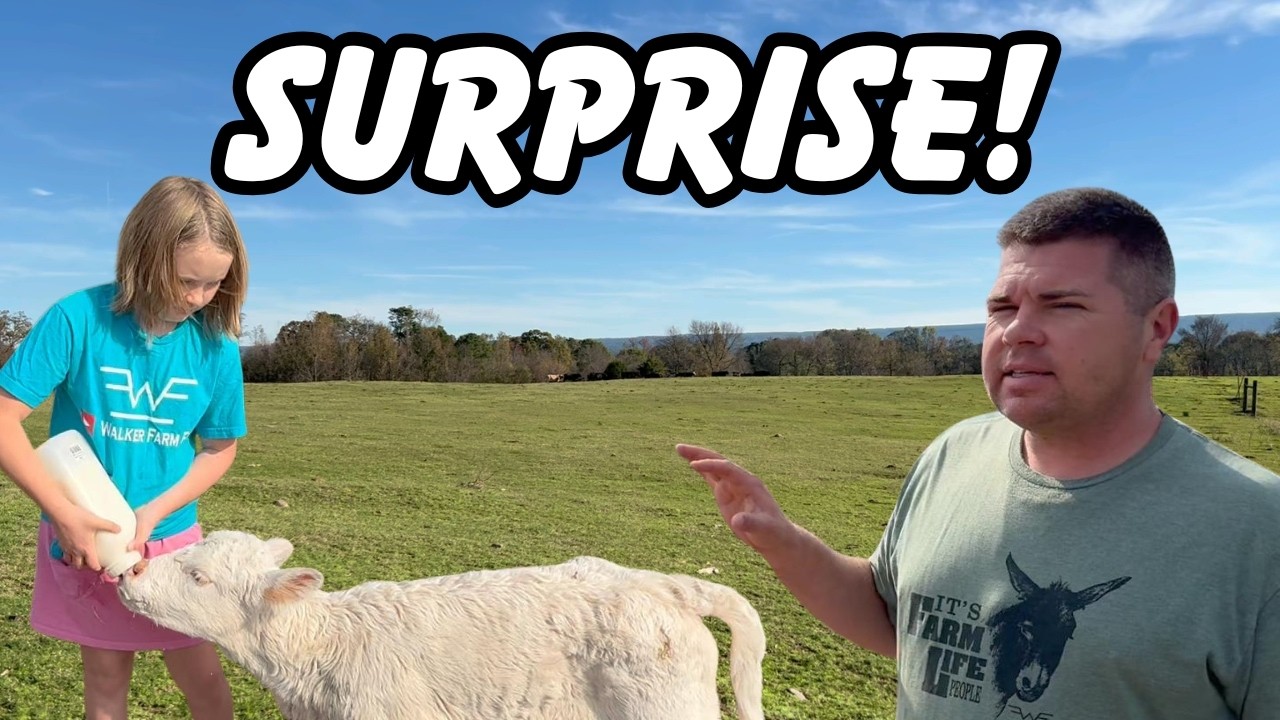 Best AUCTION Ever! We Were Shocked By The Outcome!