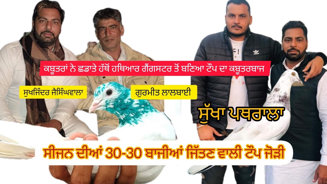 Ik Shonk kabootarbaazi Da Interview Sukhjinder Jaisinghwala Jila Bathinda Part 1
