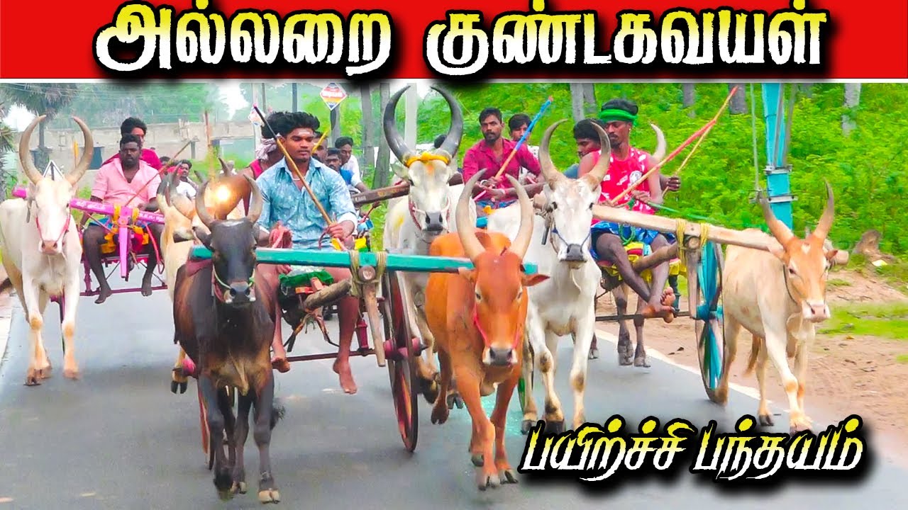 புதுக்கோட்டை மாவட்டம்  அல்லறை பயிற்சி பந்தயம் 10/12/2025 