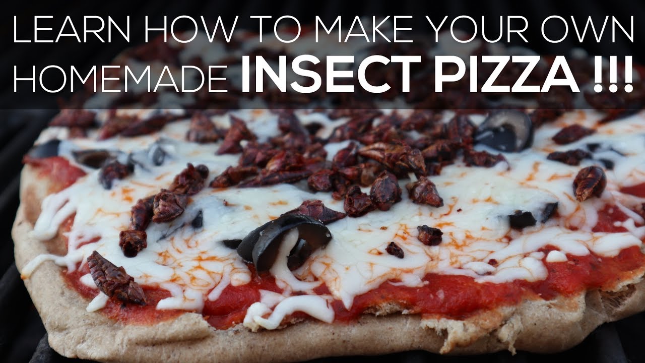 How do you make Insect Pizza? The whole family joins this Cooking Show!