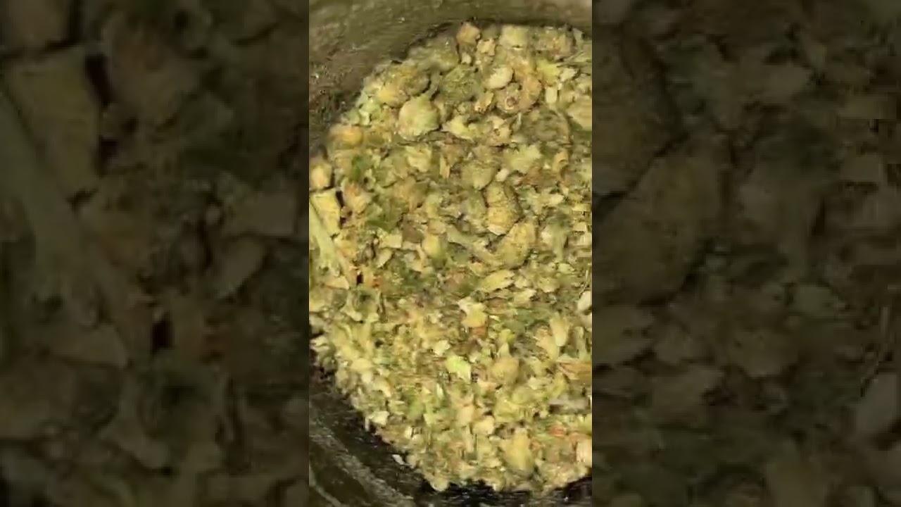 Columbian Haze by Cultivate  25.6 %