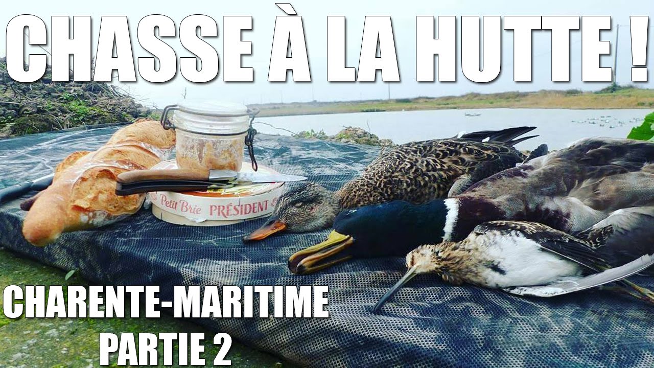 Chasse à la Hutte en Charente-Maritime ! - Partie 2 - Marius Chasse