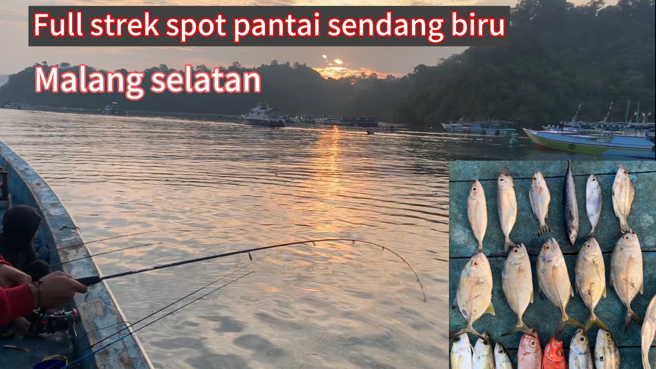 Spot pantai sendang biru ‼️ ful strek ful sambaran ikan baby gt da ikan benggol #sendangbiru