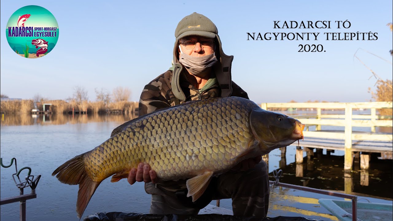 Kadarcsi Tó - Nagyponty Telepítés 2020