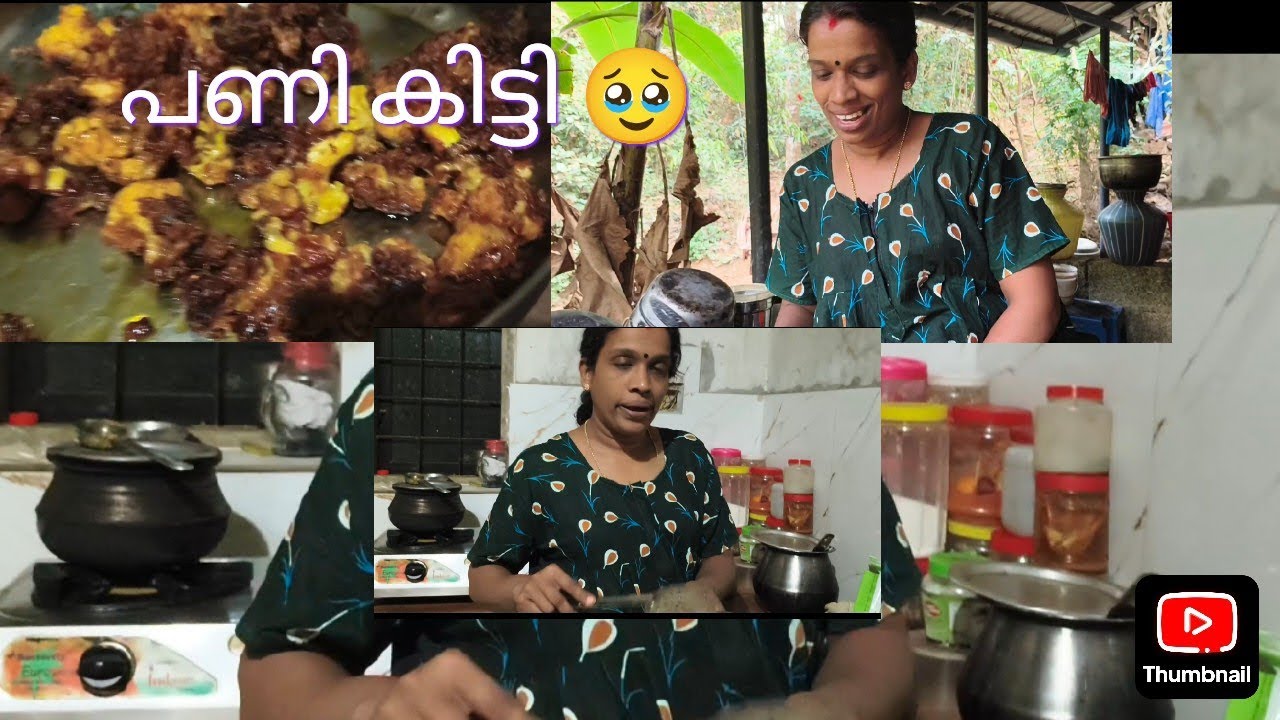 വീണ്ടും പണി കിട്ടി 🥹@swapnaasworld 