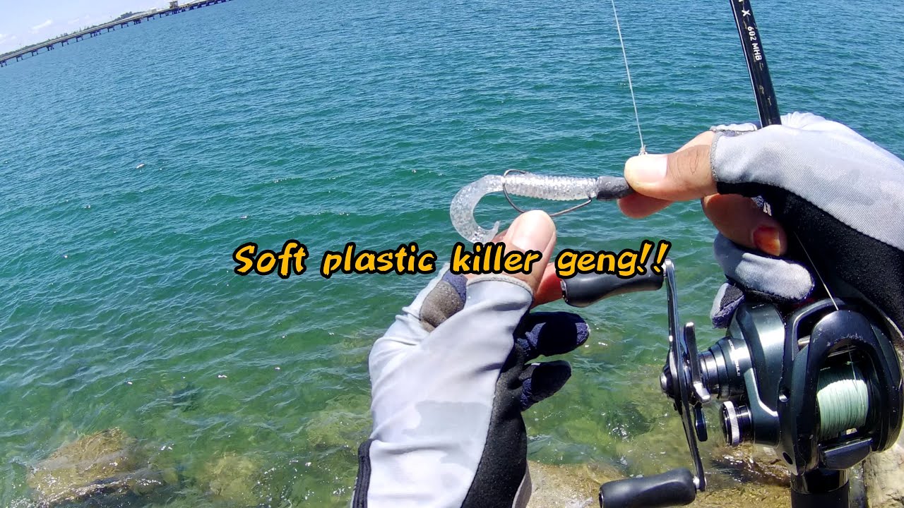 Landbased casting kerapu/grouper
