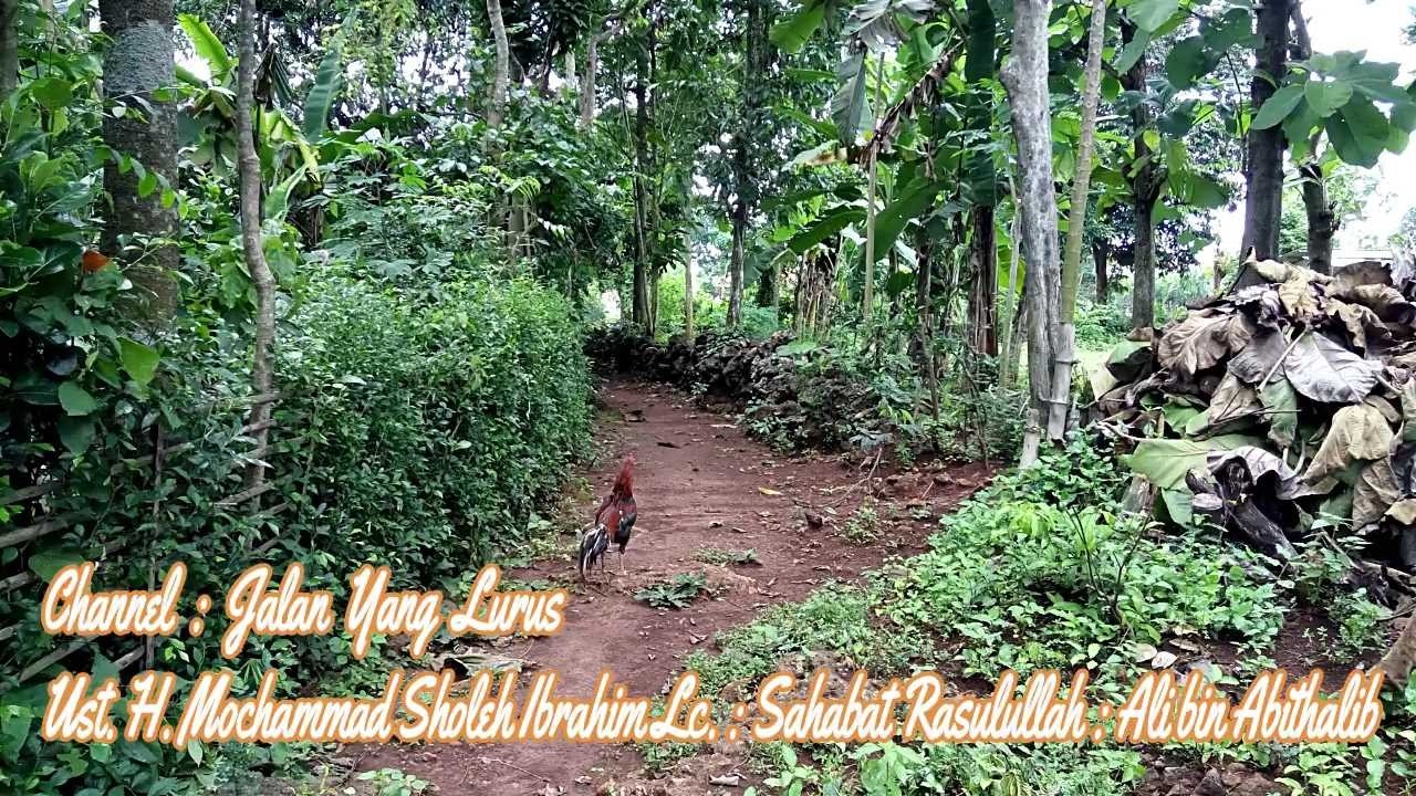 Jalan Yang Lurus : Ust. H. Mochammad Sholeh Ibrahim Lc. : Sahabat Rasulullah : Ali bin Abithalib