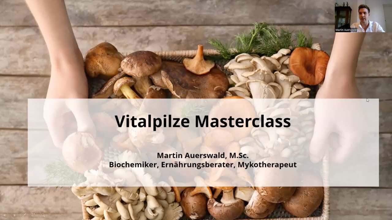 Heilpilze Masterclass 2022 - Alles über ihre Anwendungen, Vorteile & Extrakte