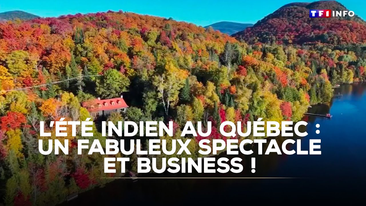 L'été indien au Québec : un fabuleux spectacle et business ! ｜TF1 INFO