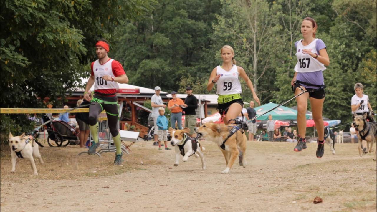 ManMat Canicross Okolohradce 2016