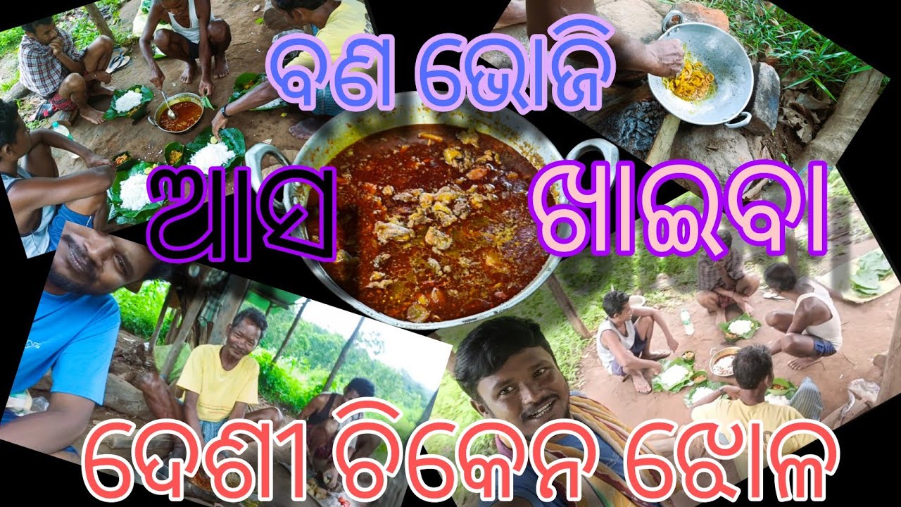 ଆସ ଦେଖିବା ବଣ ଭୋଜି ମସ୍ତି।। ଦେଶୀ ଚିକେନ ଝୋଳ...🍗🍗🐔🐔।।Eating #PrasantVlogs #prasantvlogs
