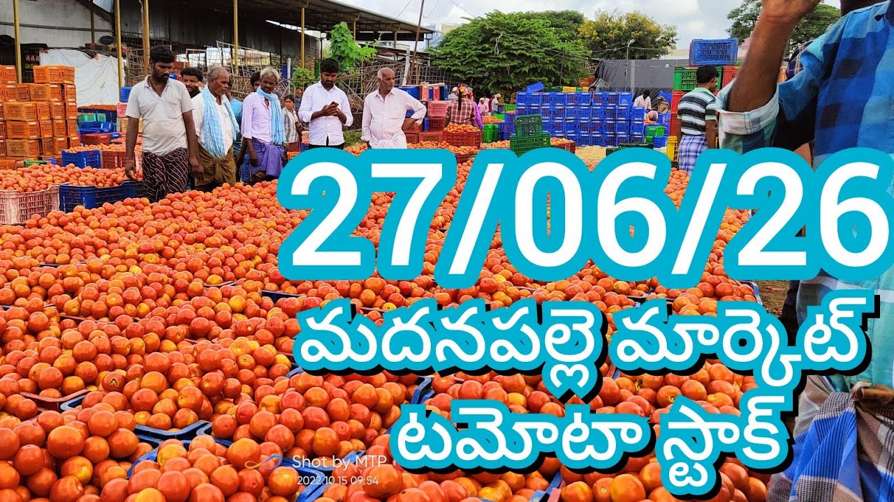 06-27-26 Madanapalle Tomato Market Price Today || Today&rsquo;s Tomato Market Rate in Madanapalle #today
