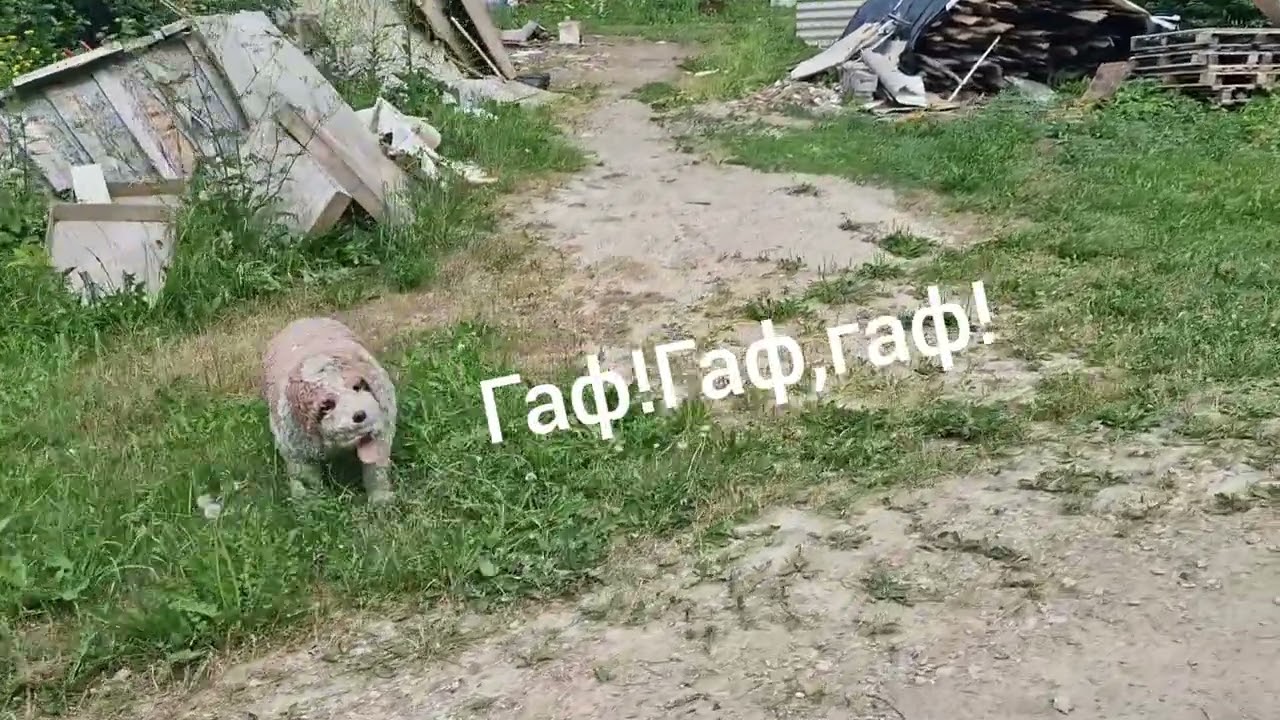 Laitse - Tallinn на велосипеде. # 2.