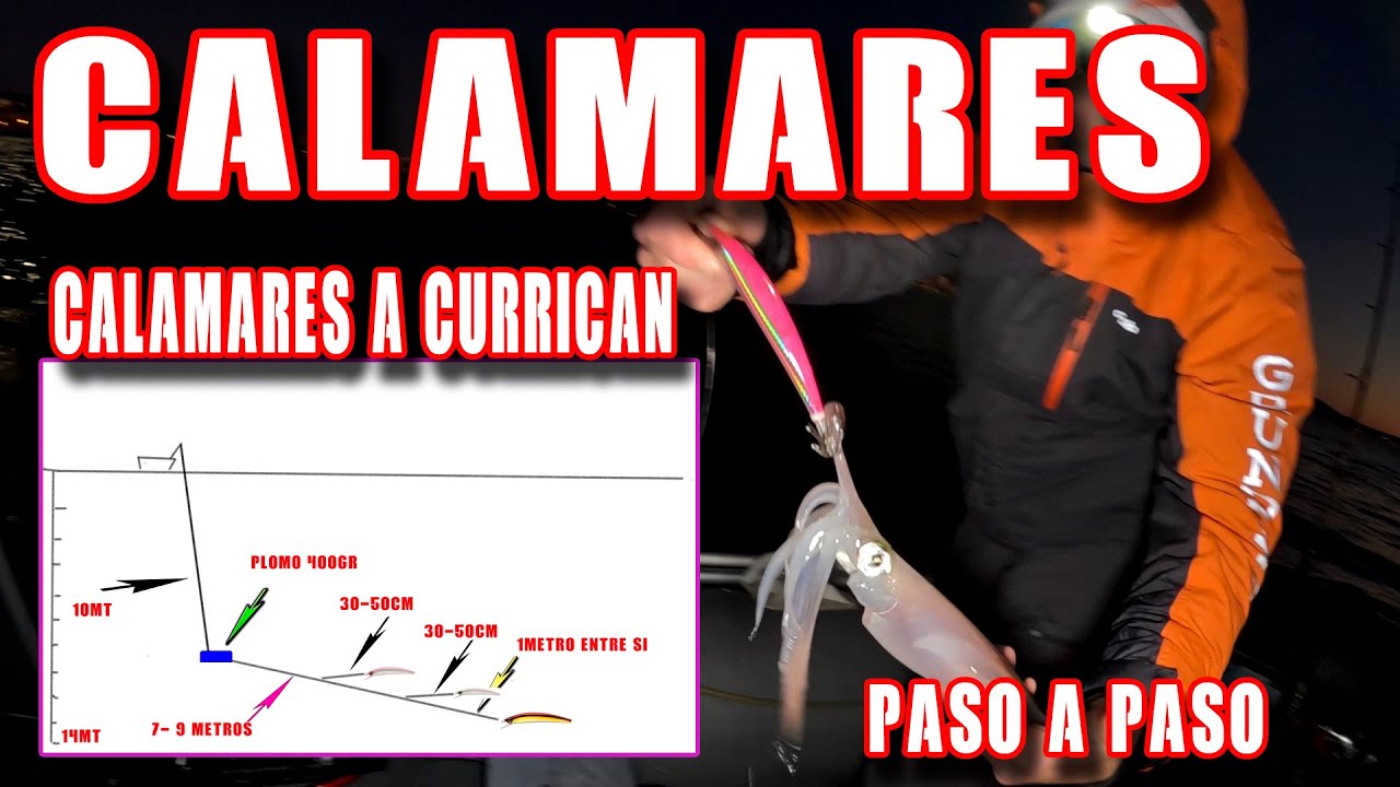 APRENDE COMO PESCAR CALAMARES A CURRICÁN explicado tutorial acción de pesca  VIDEO TUTORIAL