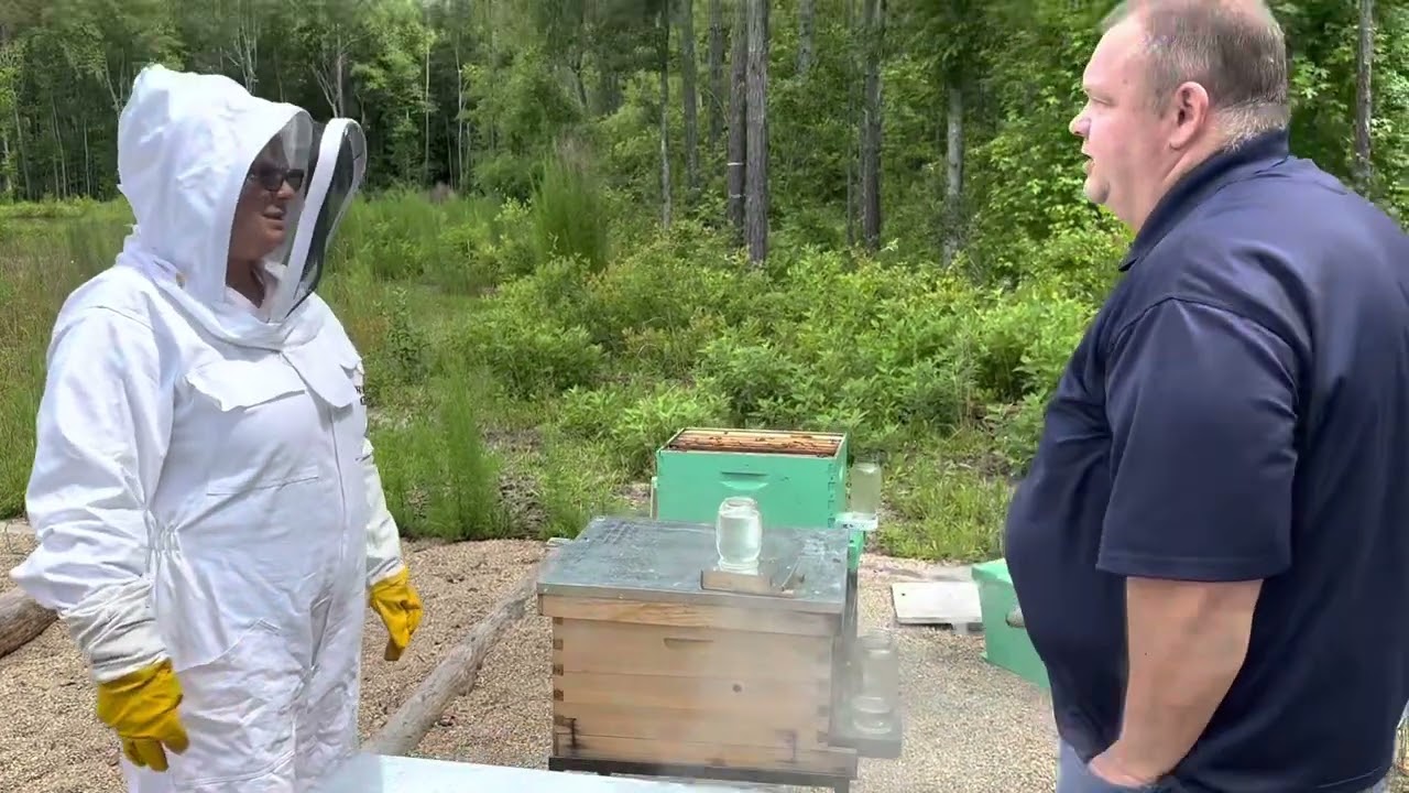 Florida Department of Agriculture Bee Inspection
