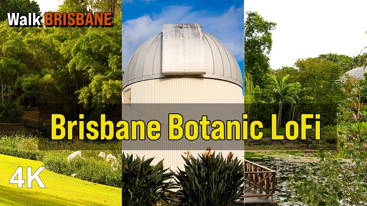 You’re Missing This Peaceful Side of Brisbane | LoFi Garden Walk 4K