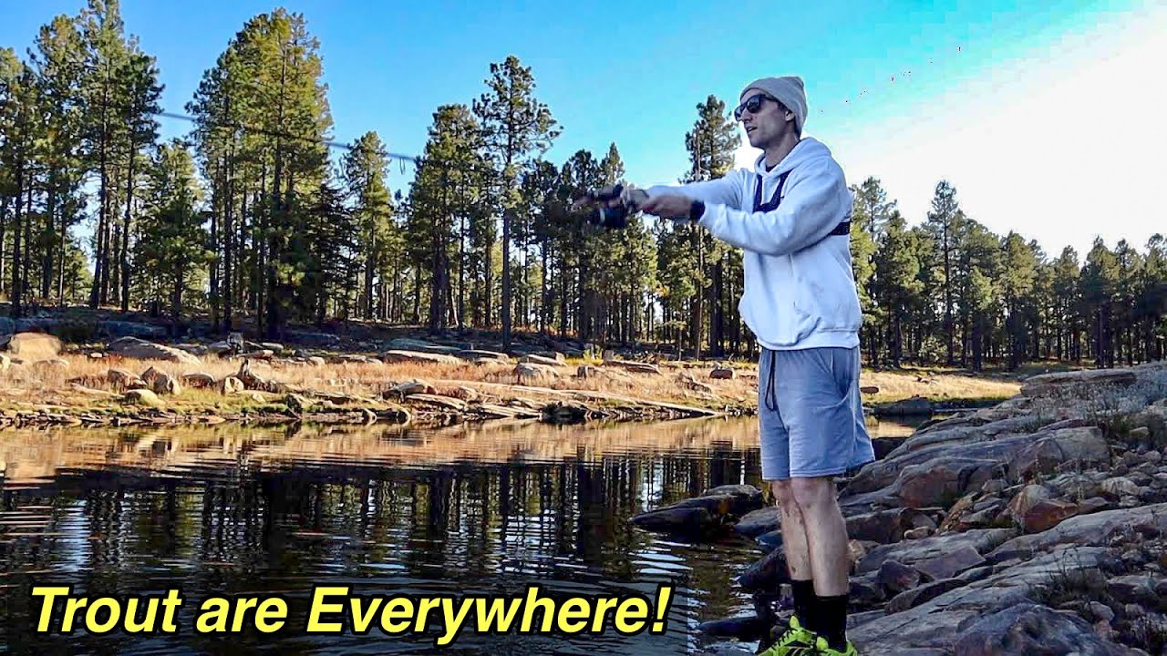 Backwoods Lake Fishing For BIG Trout - Willow Springs