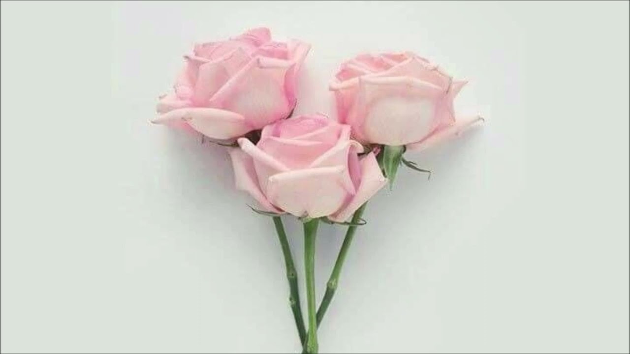 [free for profit] sad acoustic guitar type beat no drums / instrumental 