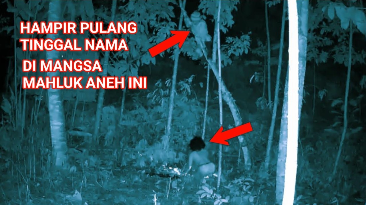 CAMPING HOROR HAMPIR PULANG TINGGAL NAMA DI MANGSA MAHLUK ANEH INI