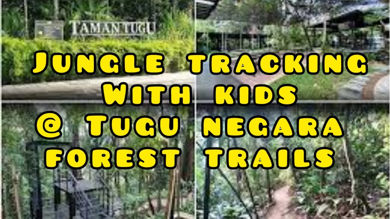 Taman Tugu Forest Trails | Kuala Lumpur | Kids activities