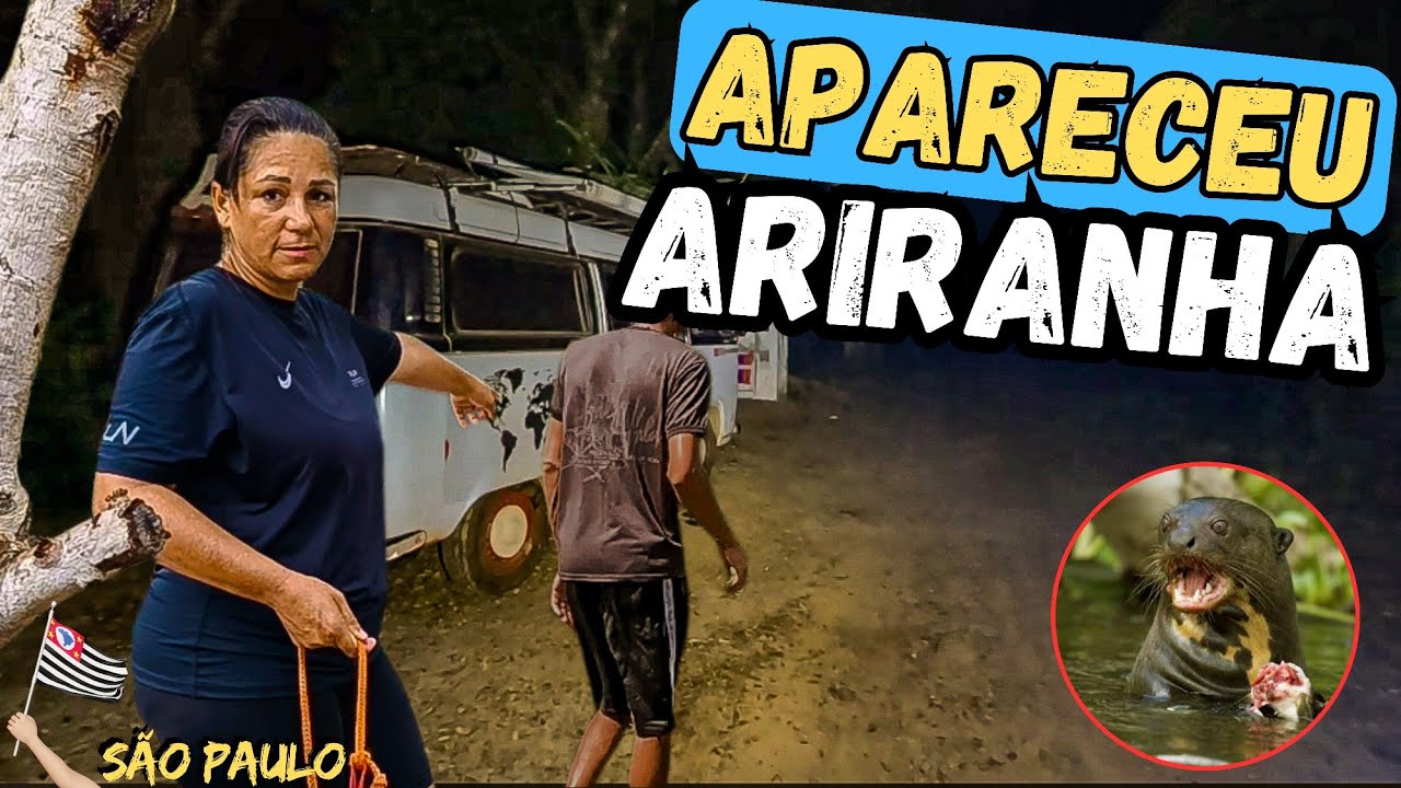 DE REPENTE APARECE UM ANIMAL ONDE EU ESTAVA...T.03 EP.118