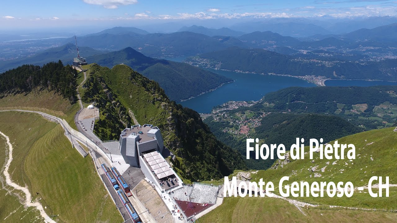 Fiore di Pietra - Monte Generoso