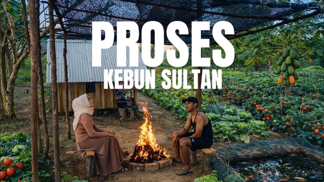 PONDOK KEBUN DIBUAT NYAMAN || MEMBUAT TEDUHAN DI SAMPING PONDOK