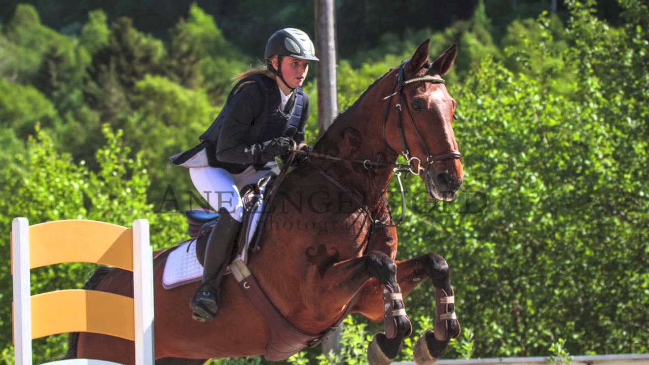 Sunndal Rideklubb i 2013