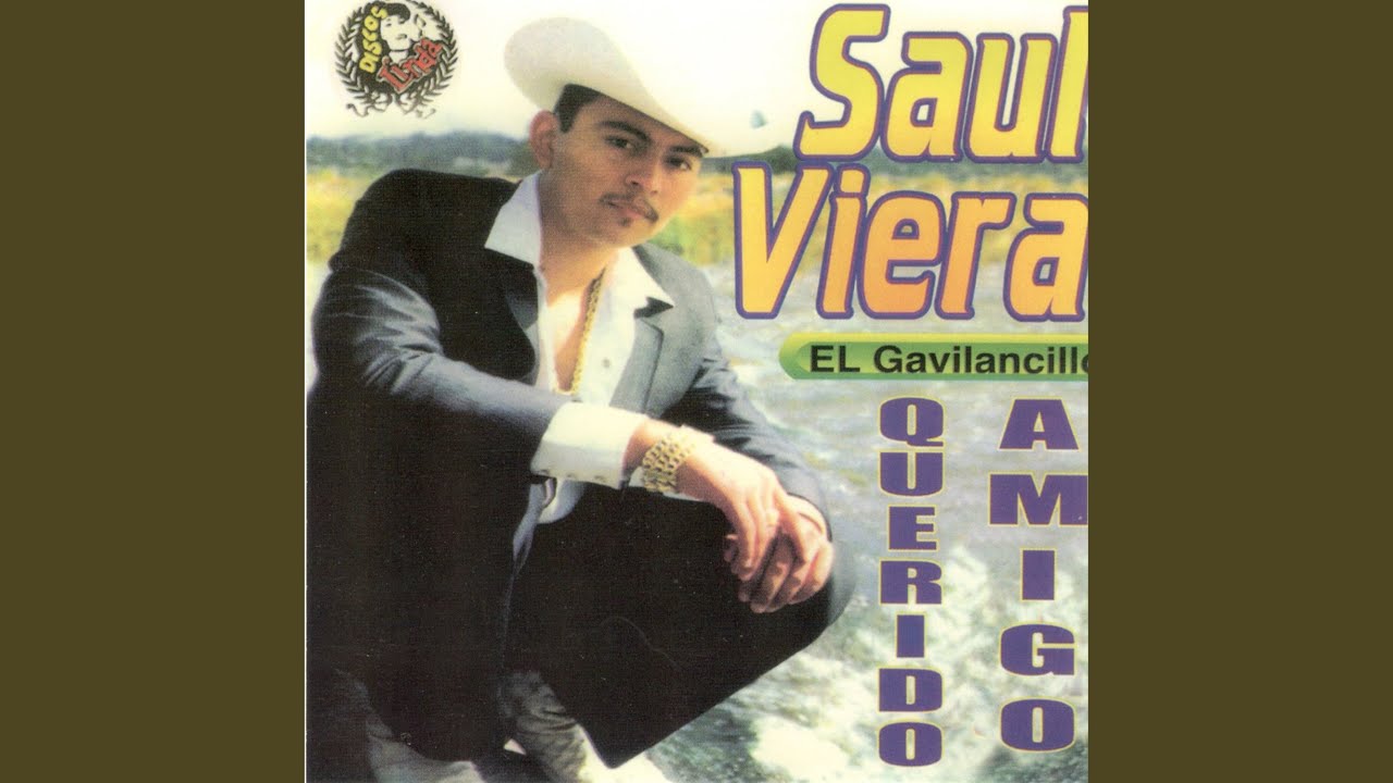 El Gavil&aacute;n