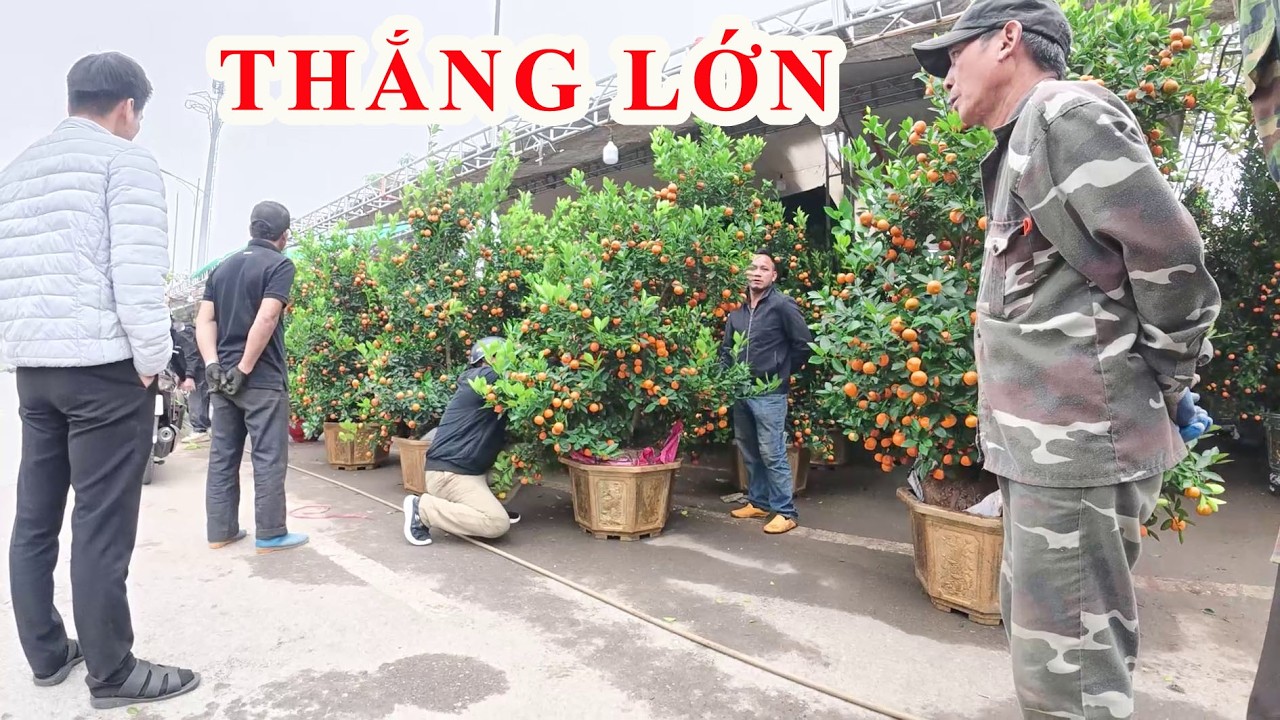 Tấp nập người mua đào, quất tại chợ Hưng Yên
