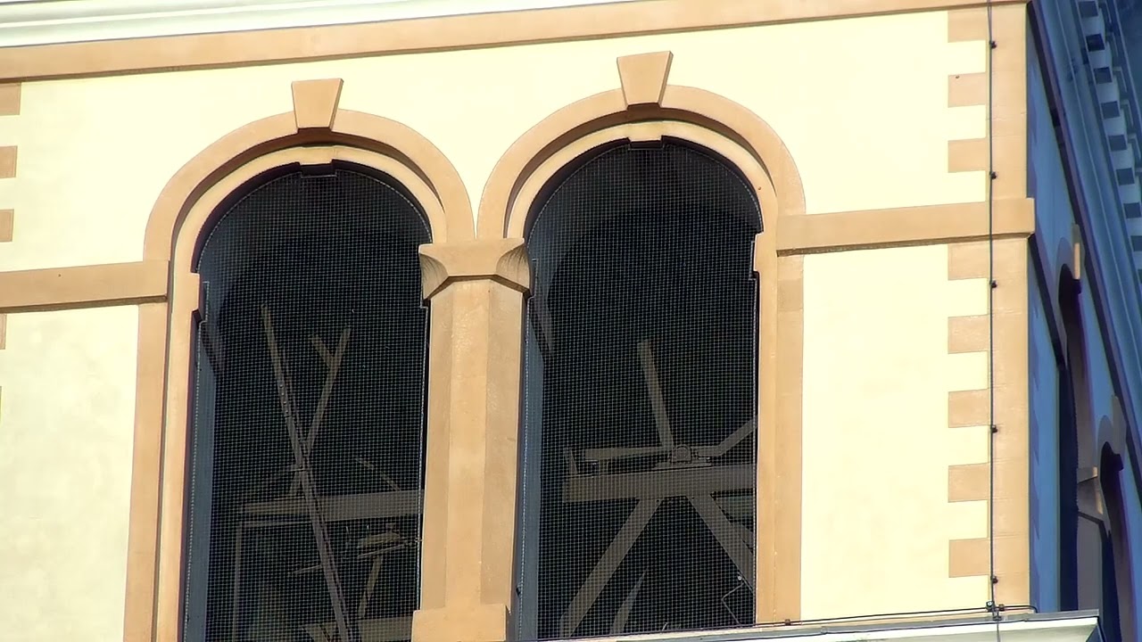 Campane di Loreggia (PD) Distesa Sincronizzata delle 3 Maggiori