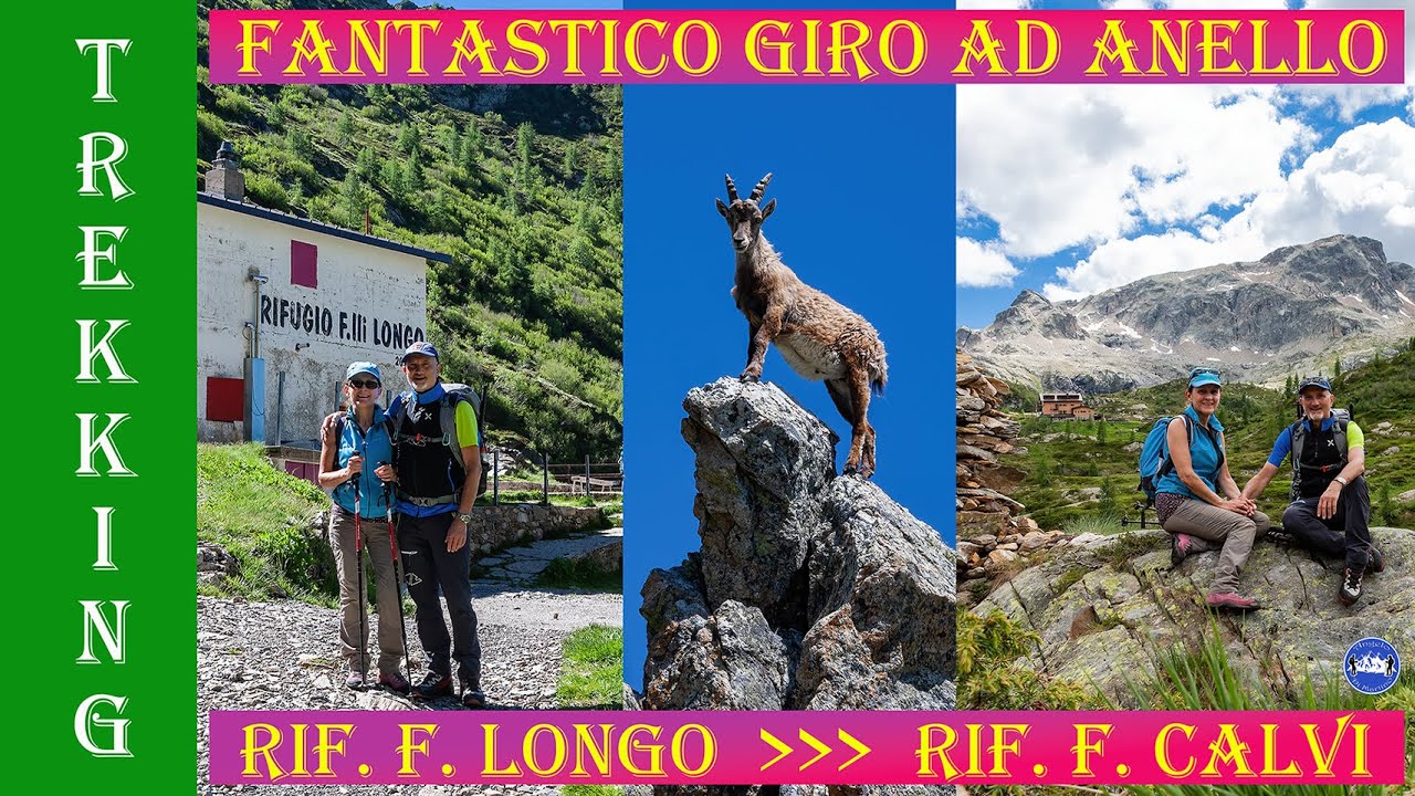 Rif. Longo - Rif. Calvi