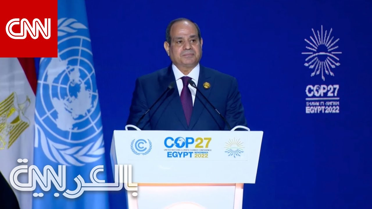 السيسي يدعو لوقف حرب روسيا في أوكرانيا: مستعد للعمل من أجل إنهائها