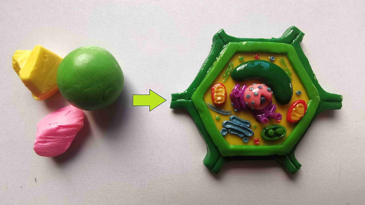 Миниатюрный брелок в виде модели растительной клетки из полимерной глины