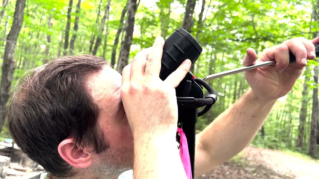 Largest living white pine discovered in the Adirondacks