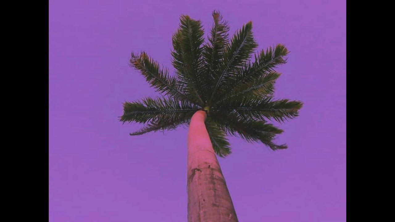 MAYKIN - NA ONDA (Prod. Wuayio)