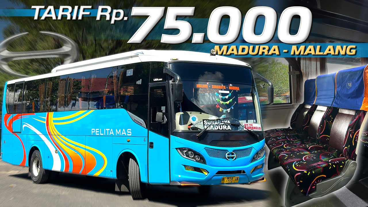 NGGAK NYANGKA BUS INI BAGUSNYA LUAR DALAM😍‼️Trip Madura - Malang with Pelita Mas