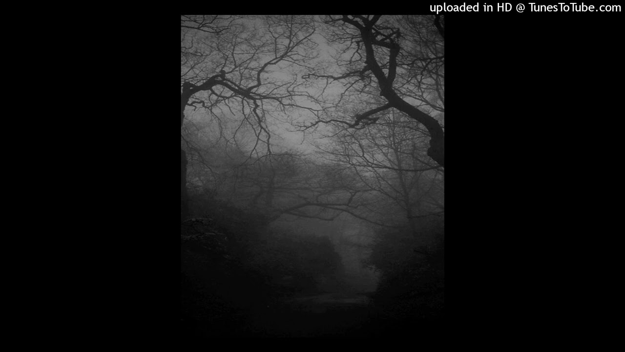 [The night wind] YTD + 2015 type beat