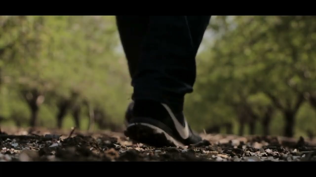 Wuer - Nic więcej (VIDEO)