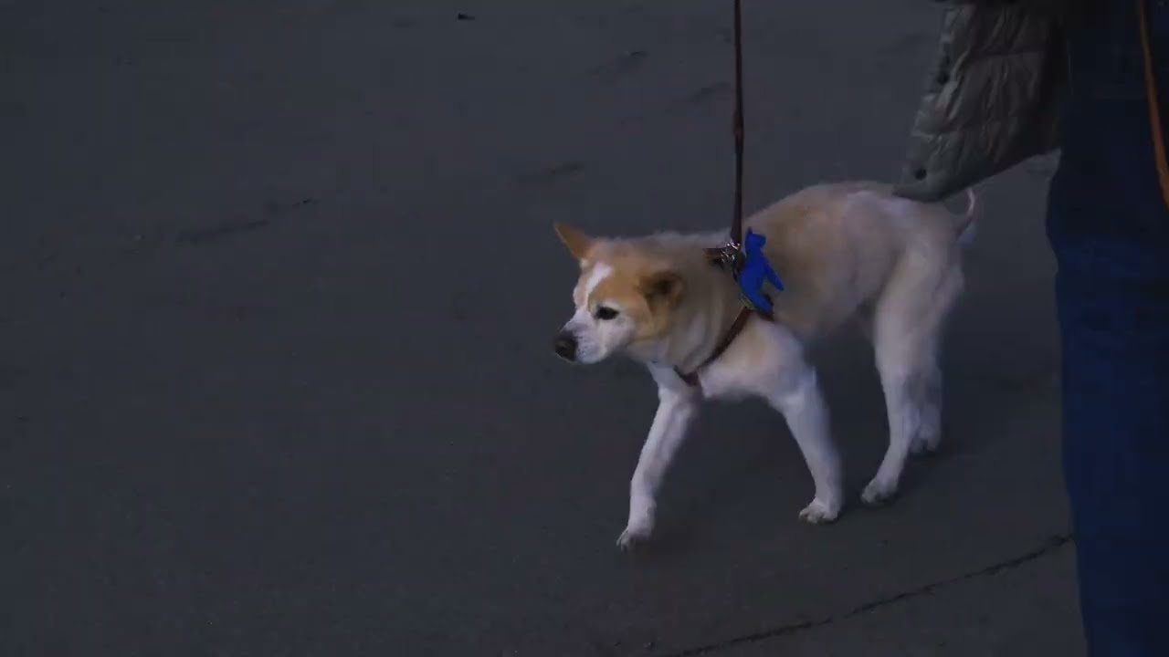 ViVi go to sea 20260222